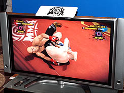꡼ No.013Υͥ / ܿ쥯ȥ˥åĽγƮΤȤʤ롤EA SPORTS ƮפΥץåȥࡼӡǺ
