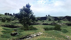 ꡼ No.005Υͥ / GamescomϿ˸줿֥եʥե󥿥XIV׿ˤϤ