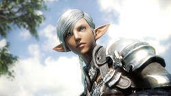 ꡼ No.029Υͥ / FINAL FANTASY XIVפκǿ󤬸֥եפȡ֥եפ°7Υ饹餫