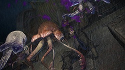꡼ No.056Υͥ / 饤FFǿΡϤڤǧ衣FINAL FANTASY XIV1ƥ եȥץå