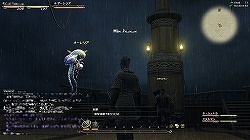 ꡼ No.059Υͥ / 饤FFǿΡϤڤǧ衣FINAL FANTASY XIV1ƥ եȥץå