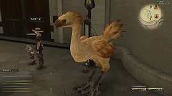 ꡼ No.024Υͥ / FINAL FANTASY XIVצƥȥץ쥤ݡȡơΥץ쥤ŬȤǥǤȥɥ꡼ɤȤ