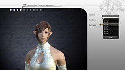 ꡼ No.008Υͥ / E3 20101ˤϦ¥ƥȤϡFINAL FANTASY XIV湰ƻᡤ߷ӻֻᥤ󥿥ӥ塼