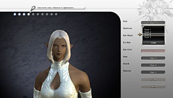 ꡼ No.010Υͥ / E3 20101ˤϦ¥ƥȤϡFINAL FANTASY XIV湰ƻᡤ߷ӻֻᥤ󥿥ӥ塼