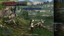 ꡼ No.015Υͥ / E3 20101ˤϦ¥ƥȤϡFINAL FANTASY XIV湰ƻᡤ߷ӻֻᥤ󥿥ӥ塼