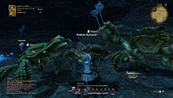 ꡼ No.016Υͥ / E3 20101ˤϦ¥ƥȤϡFINAL FANTASY XIV湰ƻᡤ߷ӻֻᥤ󥿥ӥ塼