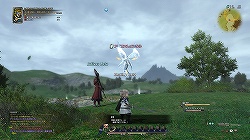 ꡼ No.036Υͥ / FINAL FANTASY XIVצ¥ƥԥץ쥤ݡȡɤɤѤΤ򡤦¥ƥȤ褬ƿȶ˾Ҳ