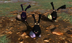 ꡼ No.052Υͥ / FINAL FANTASY XIVצ¥ƥԥץ쥤ݡȡɤɤѤΤ򡤦¥ƥȤ褬ƿȶ˾Ҳ