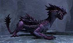 ꡼ No.055Υͥ / FINAL FANTASY XIVצ¥ƥԥץ쥤ݡȡɤɤѤΤ򡤦¥ƥȤ褬ƿȶ˾Ҳ