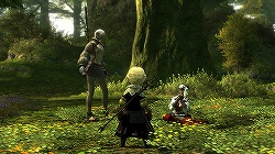 ꡼ No.008Υͥ / ԡȥ˥ɤȺԡȥϡɤɲá9ܳͽΡFINAL FANTASY XIVץץ¥ƥԥץ쥤ݡȤǺ