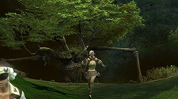 ꡼ No.009Υͥ / ԡȥ˥ɤȺԡȥϡɤɲá9ܳͽΡFINAL FANTASY XIVץץ¥ƥԥץ쥤ݡȤǺ
