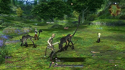 ꡼ No.010Υͥ / ԡȥ˥ɤȺԡȥϡɤɲá9ܳͽΡFINAL FANTASY XIVץץ¥ƥԥץ쥤ݡȤǺ