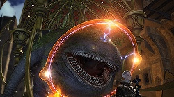 ꡼ No.041Υͥ / ԡȥ˥ɤȺԡȥϡɤɲá9ܳͽΡFINAL FANTASY XIVץץ¥ƥԥץ쥤ݡȤǺ