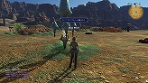 ꡼ No.055Υͥ / ԡȥ˥ɤȺԡȥϡɤɲá9ܳͽΡFINAL FANTASY XIVץץ¥ƥԥץ쥤ݡȤǺ