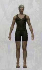 ꡼ No.111Υͥ / [CEDEC 2010]FINAL FANTASY XIVפΥ饯ˡȤϡޤޤʹפ餫ˤʤäֱƤݡ