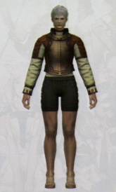 ꡼ No.112Υͥ / [CEDEC 2010]FINAL FANTASY XIVפΥ饯ˡȤϡޤޤʹפ餫ˤʤäֱƤݡ