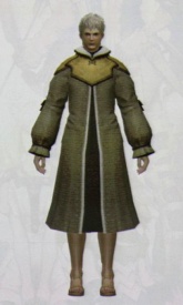 ꡼ No.113Υͥ / [CEDEC 2010]FINAL FANTASY XIVפΥ饯ˡȤϡޤޤʹפ餫ˤʤäֱƤݡ