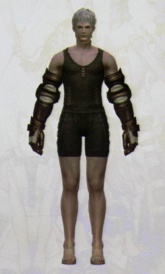 ꡼ No.114Υͥ / [CEDEC 2010]FINAL FANTASY XIVפΥ饯ˡȤϡޤޤʹפ餫ˤʤäֱƤݡ