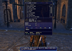 ꡼ No.030Υͥ / ץ쥤䡼Ȥ«ɬޤؤκԤ줿FINAL FANTASY XIV׶۵ޥ󥿥ӥ塼FFXIV줿ĻϤɤʿʪʤΤ