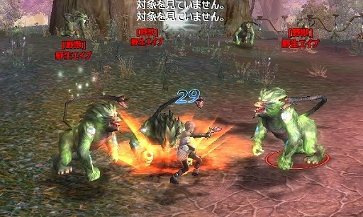 ꡼ No.013Υͥ / PRۡ뤿廊סĤξǡʪ줬ưФSFե󥿥Υϥ֥åMMORPGARGO ONLINEץץ쥤ݡ