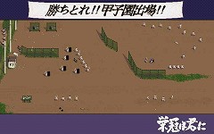 ꡼ No.005Υͥ / ι⹻奷ֱɴϷˡפΥ꡼13֥쥸ɥѥåפȤ䳫