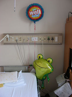 画像ギャラリー No.017のサムネイル画像 / 【西川善司】腫瘍摘出手術を受けて自らがバイオハザード風になった話