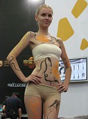 ꡼ No.007Υͥ / CJ 09ϤԤޤChinaJoy 2009ѥ˥̿Ǻܤޤ