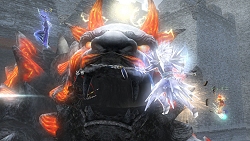꡼ No.005Υͥ / TGS 2009Ͽ֤ϡɤǤʲֿԢ̵ MULTI RAID SpecialפΥץࡼӡǺ