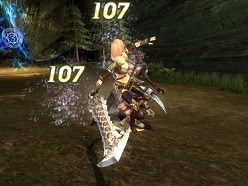 ꡼ No.006Υͥ / ꥢο饤󥢥RPGDivineSoulפΥɦ¥ƥȤȡԤֲʥθ褦