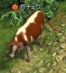 ꡼ No.002Υͥ / ֥ե饴ꥢGMо줷ǯǯϥ٥ȤΥݡȤ