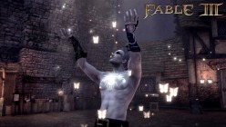 ꡼ No.011Υͥ / TGS 2010ϥΤɤʬˤƤ⥪饤Co-opǽԡ˥塼Ἣ餬Fable IIIפΥ饤ϥץ쥤Ҳ