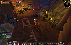 ꡼ No.029Υͥ / World of Warcraft 20104󡧡Cataclysmפο²WorgenɤͷǤߤ