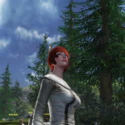 ꡼ No.005Υͥ / ԤοArcheAgeפڤˤäФ㤦ڹǹԤ줿CBT3MMORPGեɬΥץ쥤ݡȤǺ