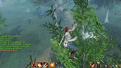 ꡼ No.031Υͥ / ԤοArcheAgeפڤˤäФ㤦ڹǹԤ줿CBT3MMORPGեɬΥץ쥤ݡȤǺ