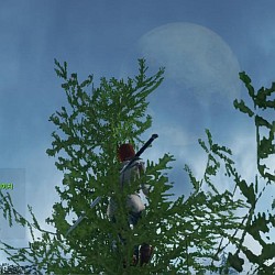 ꡼ No.045Υͥ / ԤοArcheAgeפڤˤäФ㤦ڹǹԤ줿CBT3MMORPGեɬΥץ쥤ݡȤǺ
