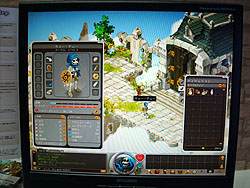 ꡼ No.002Υͥ / TGS 2009ϥե󥹿ͤϡ˨ɤ򤷤Ƥ롪 饯襤MMORPGDofusʥɥեˡפܸ첽ƾΦ