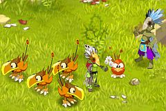 ꡼ No.003Υͥ / DOFUS׿󥸥3ƤϥåҤ᤯֥å