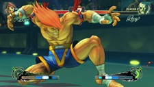 画像ギャラリー No.018のサムネイル画像 / 「スーパーストリートファイターIV」にZEROシリーズより「アドン」「コーディ」「ガイ」が参戦決定! 今回は「アドン」の情報が公開に