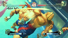 画像ギャラリー No.019のサムネイル画像 / 「スーパーストリートファイターIV」にZEROシリーズより「アドン」「コーディ」「ガイ」が参戦決定! 今回は「アドン」の情報が公開に