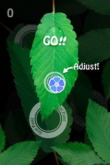 ꡼ No.007Υͥ / iPhoneϥϥɥiPhone/iPod touch򷹤ƿũ򱿤֥ѥAQUA FOREST 2פۿ