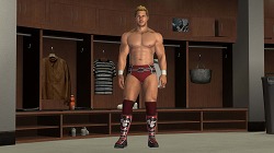 ꡼ No.018Υͥ / ȡ꡼饤κˤбWWE 2010 SmackDown vs. Rawס2010ǯ128ȯ