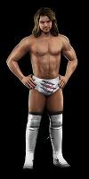 ꡼ No.033Υͥ / ȡ꡼饤κˤбWWE 2010 SmackDown vs. Rawס2010ǯ128ȯ