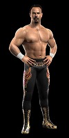 ꡼ No.036Υͥ / ȡ꡼饤κˤбWWE 2010 SmackDown vs. Rawס2010ǯ128ȯ