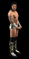 ꡼ No.039Υͥ / ȡ꡼饤κˤбWWE 2010 SmackDown vs. Rawס2010ǯ128ȯ