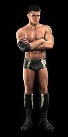 ꡼ No.040Υͥ / ȡ꡼饤κˤбWWE 2010 SmackDown vs. Rawס2010ǯ128ȯ