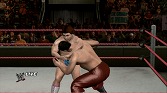 ꡼ No.030Υͥ / ֥åޥ˥XXVIפܤPPVΤǡWWE 2010 SmackDown vs Rawפǵʬ夲褦