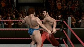 ꡼ No.034Υͥ / ֥åޥ˥XXVIפܤPPVΤǡWWE 2010 SmackDown vs Rawפǵʬ夲褦