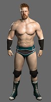 ꡼ No.011Υͥ / äȥӥ󥹲˹ԤäƤ롪WWE SmackDown vs. Raw 2011פϥХåơ!?