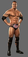꡼ No.014Υͥ / äȥӥ󥹲˹ԤäƤ롪WWE SmackDown vs. Raw 2011פϥХåơ!?