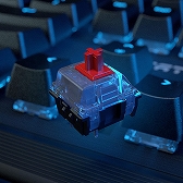 ꡼ No.004Υͥ / ROCCAT饨ȥ꡼Ծܡɤо졣ּȥ֥2